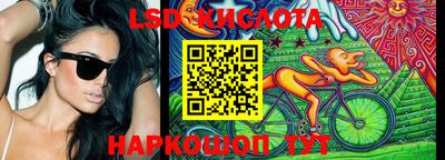 прущие грибы Бердск