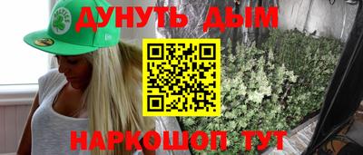 прущие грибы Бердск