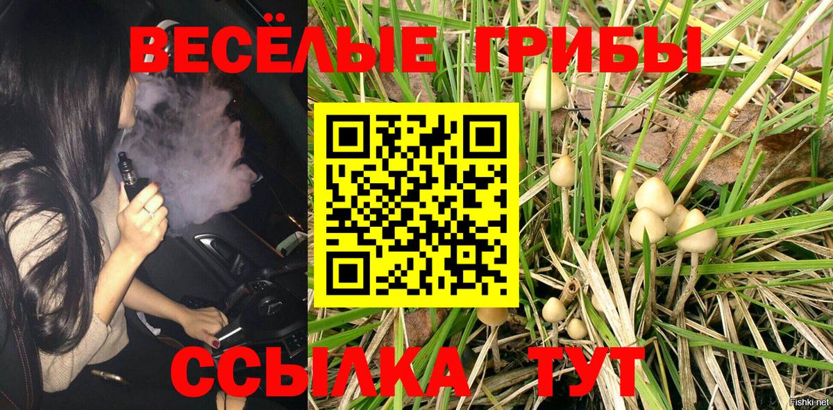 Ачинск  наркошоп  Вход с VPN  Псилоцибиновые грибы Magic Shrooms 